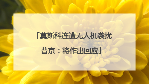 莫斯科连遭无人机袭扰 普京：将作出回应
