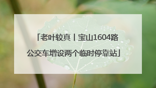 老叶较真丨宝山1604路公交车增设两个临时停靠站