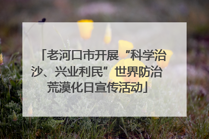 老河口市开展“科学治沙、兴业利民”世界防治荒漠化日宣传活动