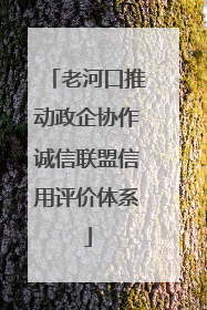 老河口推动政企协作诚信联盟信用评价体系
