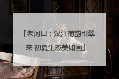 老河口：汉江荷韵引翠来 初夏生态美如画