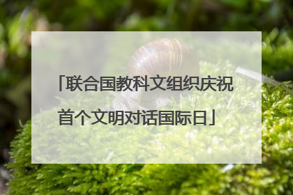联合国教科文组织庆祝首个文明对话国际日