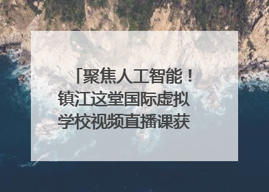 聚焦人工智能！镇江这堂国际虚拟学校视频直播课获韩美伙伴点赞