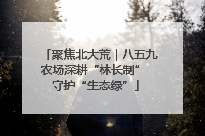 聚焦北大荒｜八五九农场深耕“林长制” 守护“生态绿”