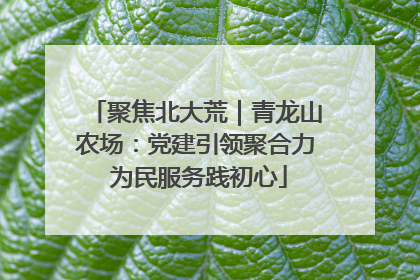 聚焦北大荒｜青龙山农场：党建引领聚合力 为民服务践初心