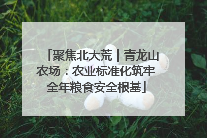 聚焦北大荒｜青龙山农场：农业标准化筑牢全年粮食安全根基