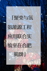 聚变与氢氨能源工程应用联合实验室在合肥揭牌