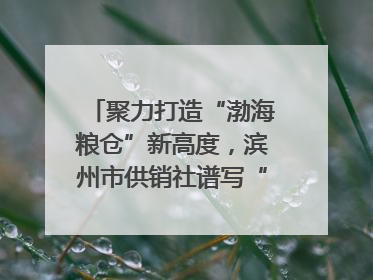聚力打造“渤海粮仓”新高度，滨州市供销社谱写“三夏”丰收乐章