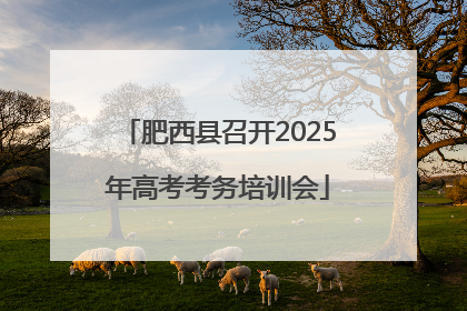肥西县召开2025年高考考务培训会