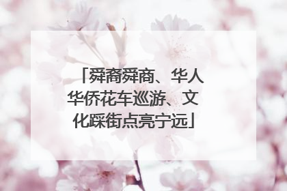 舜裔舜商、华人华侨花车巡游、文化踩街点亮宁远