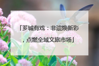 芗城有戏：非遗焕新彩，点燃全域文旅市场