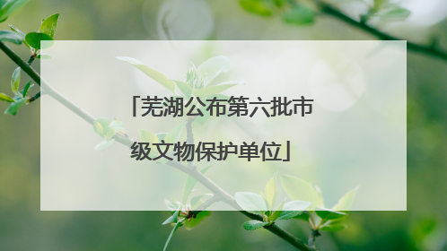 芜湖公布第六批市级文物保护单位