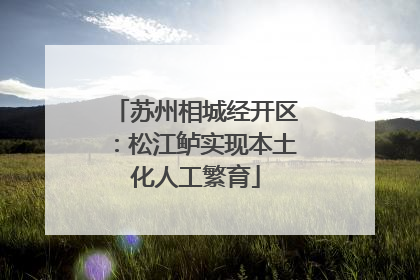 苏州相城经开区：松江鲈实现本土化人工繁育