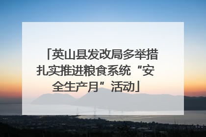 英山县发改局多举措扎实推进粮食系统“安全生产月”活动