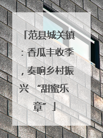 范县城关镇：香瓜丰收季，奏响乡村振兴 “甜蜜乐章”