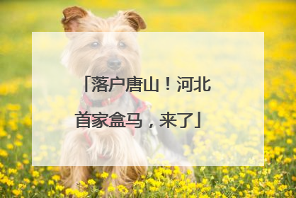 落户唐山！河北首家盒马，来了