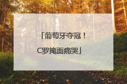葡萄牙夺冠！C罗掩面痛哭