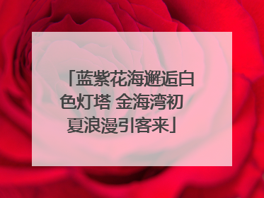 蓝紫花海邂逅白色灯塔 金海湾初夏浪漫引客来