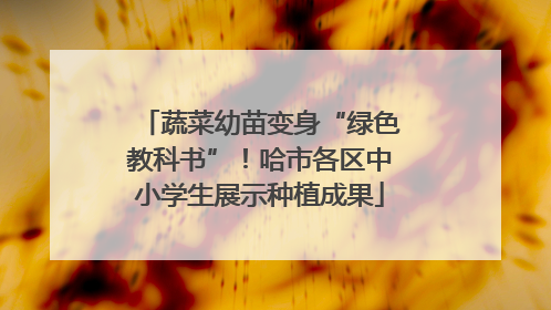 蔬菜幼苗变身“绿色教科书”！哈市各区中小学生展示种植成果