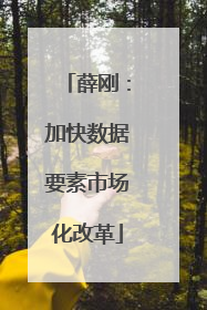 薛刚：加快数据要素市场化改革