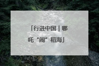行进中国｜哪吒“闹”稻海