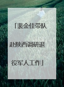 裴金佳带队赴陕西调研退役军人工作