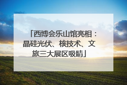 西博会乐山馆亮相：晶硅光伏、核技术、文旅三大展区吸睛