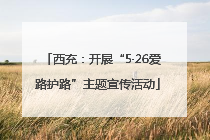 西充：开展“5·26爱路护路”主题宣传活动