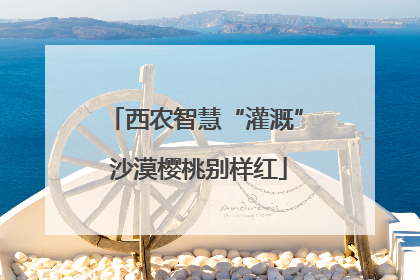 西农智慧“灌溉” 沙漠樱桃别样红