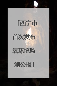 西宁市首次发布氧环境监测公报