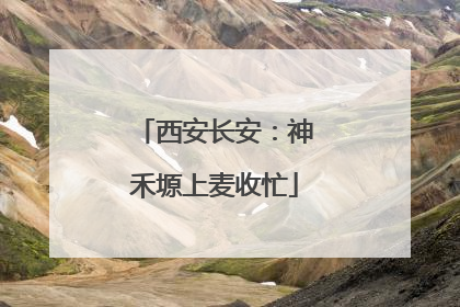 西安长安：神禾塬上麦收忙