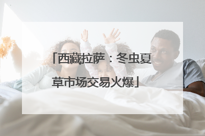 西藏拉萨：冬虫夏草市场交易火爆
