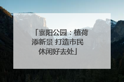 襄阳公园：植荷添新景 打造市民休闲好去处