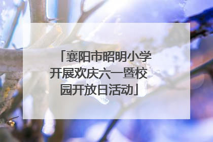 襄阳市昭明小学开展欢庆六一暨校园开放日活动