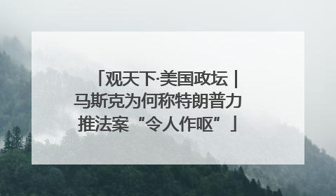 观天下·美国政坛｜马斯克为何称特朗普力推法案“令人作呕”