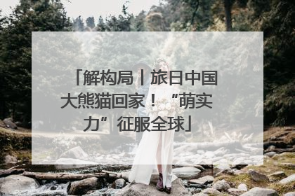 解构局丨旅日中国大熊猫回家！“萌实力”征服全球