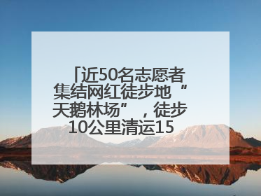 近50名志愿者集结网红徒步地“天鹅林场”，徒步10公里清运150余斤山野垃圾