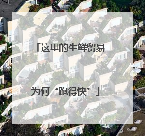 这里的生鲜贸易为何“跑得快”