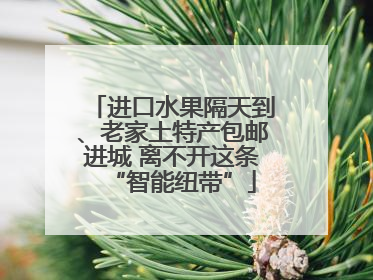 进口水果隔天到、老家土特产包邮进城 离不开这条“智能纽带”