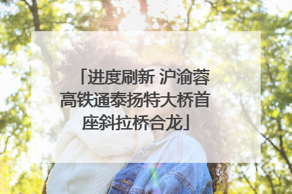 进度刷新 沪渝蓉高铁通泰扬特大桥首座斜拉桥合龙