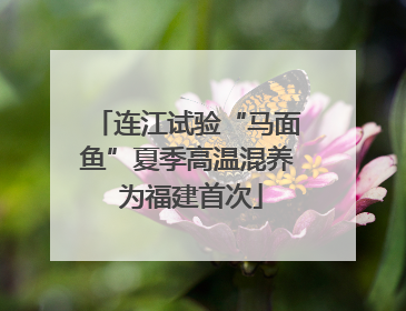 连江试验“马面鱼”夏季高温混养 为福建首次