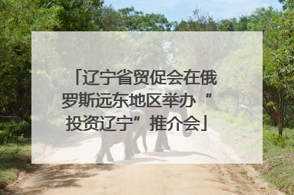 辽宁省贸促会在俄罗斯远东地区举办“投资辽宁”推介会