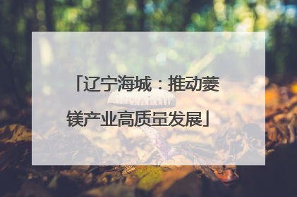 辽宁海城：推动菱镁产业高质量发展
