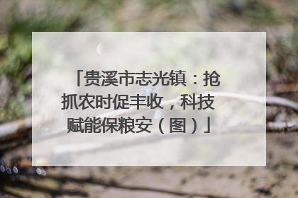 贵溪市志光镇：抢抓农时促丰收，科技赋能保粮安（图）