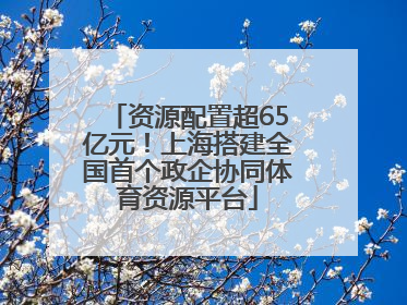 资源配置超65亿元！上海搭建全国首个政企协同体育资源平台