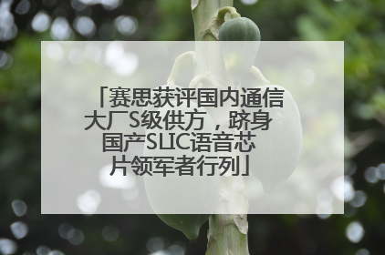 赛思获评国内通信大厂S级供方，跻身国产SLIC语音芯片领军者行列