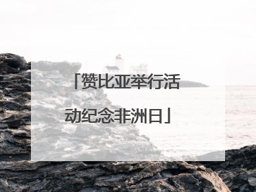 赞比亚举行活动纪念非洲日