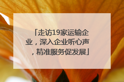 走访19家运输企业，深入企业听心声，精准服务促发展