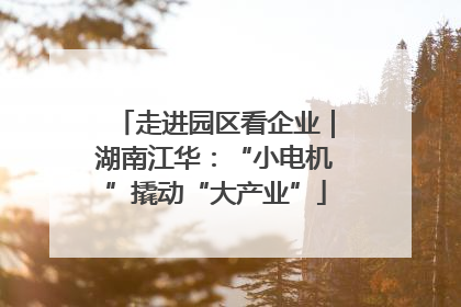 走进园区看企业｜湖南江华：“小电机”撬动“大产业”
