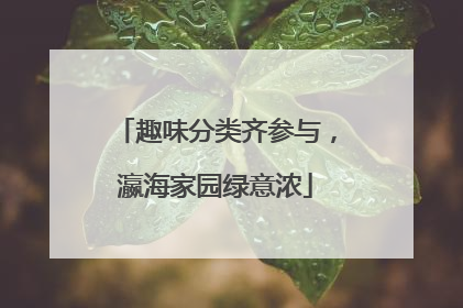 趣味分类齐参与，瀛海家园绿意浓